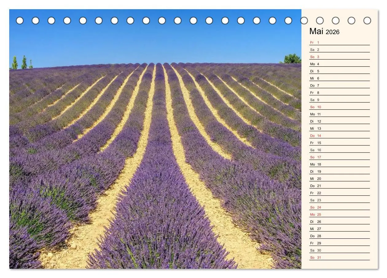 Bild: 9783457979662 | Verzaubernde Provence (Tischkalender 2026 DIN A5 quer), CALVENDO...