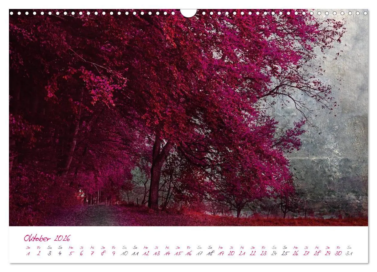 Bild: 9783516209662 | Momente in Rosa (Wandkalender 2026 DIN A3 quer), CALVENDO...