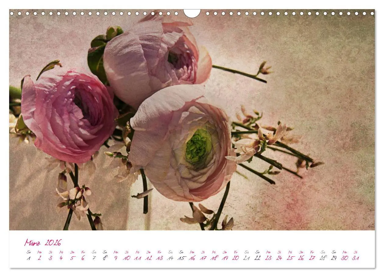 Bild: 9783516209662 | Momente in Rosa (Wandkalender 2026 DIN A3 quer), CALVENDO...