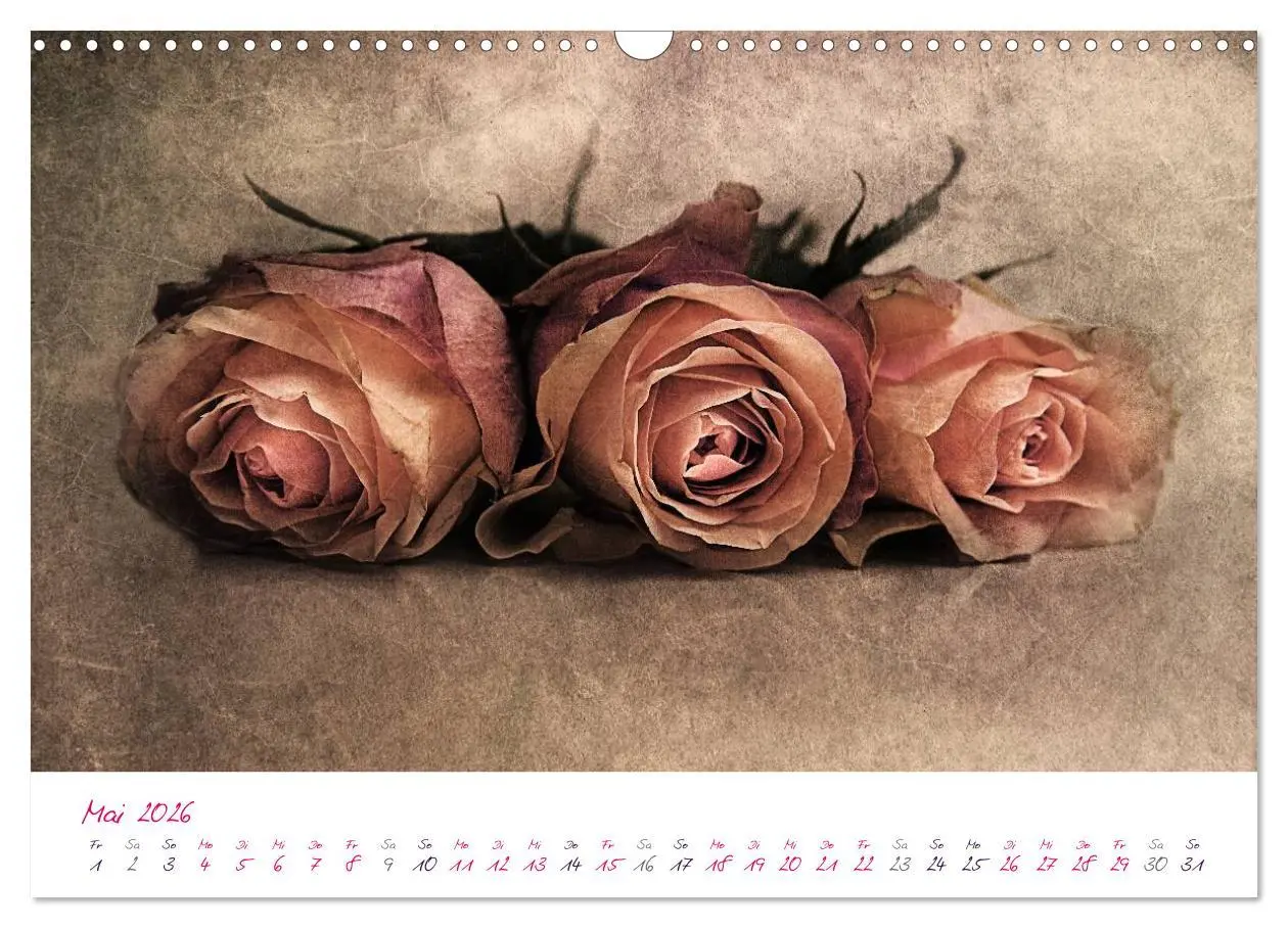 Bild: 9783516209662 | Momente in Rosa (Wandkalender 2026 DIN A3 quer), CALVENDO...
