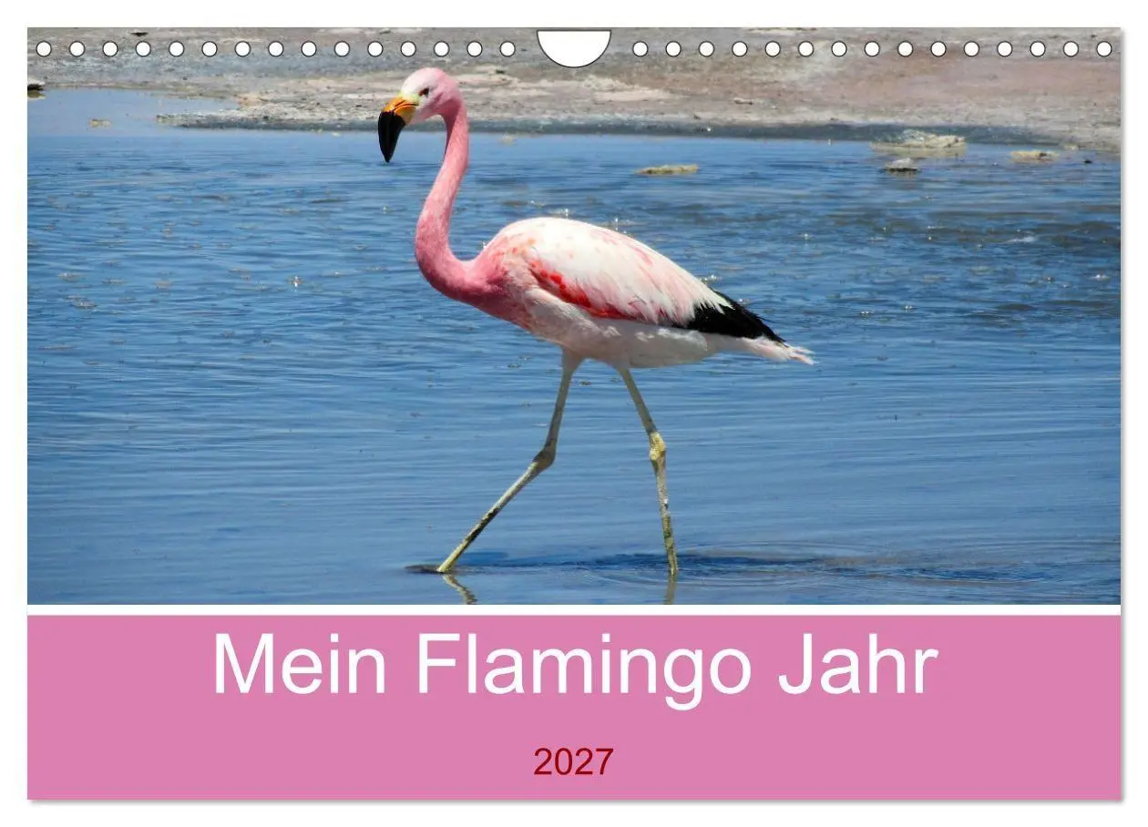 Cover: 9783569539662 | Mein Flamingo Jahr (Wandkalender 2027 DIN A4 quer), CALVENDO...
