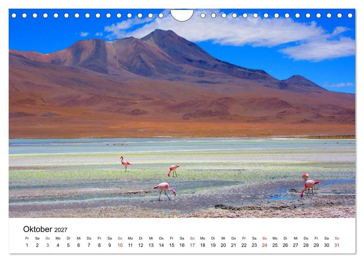 Bild: 9783569539662 | Mein Flamingo Jahr (Wandkalender 2027 DIN A4 quer), CALVENDO...