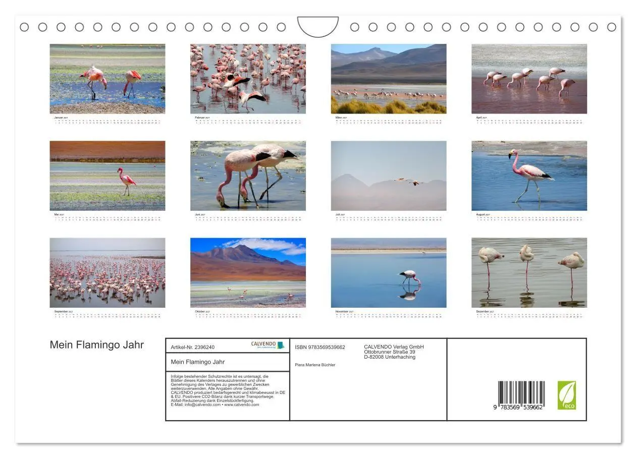 Bild: 9783569539662 | Mein Flamingo Jahr (Wandkalender 2027 DIN A4 quer), CALVENDO...