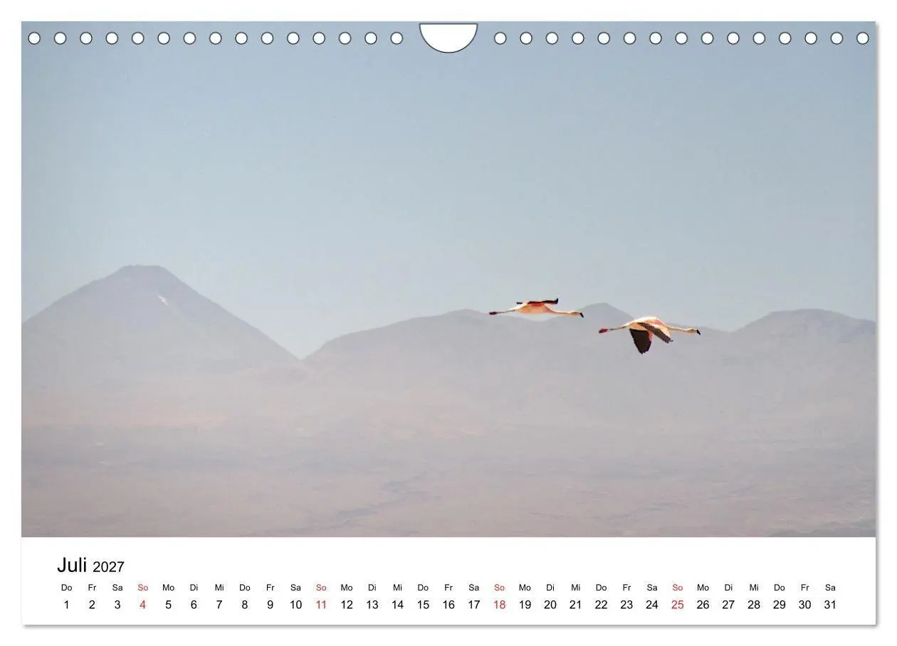 Bild: 9783569539662 | Mein Flamingo Jahr (Wandkalender 2027 DIN A4 quer), CALVENDO...