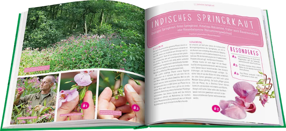 Bild: 9783945429662 | Die Wildkräuter-Werkstatt | Peter Becker | Taschenbuch | 160 S. | 2017