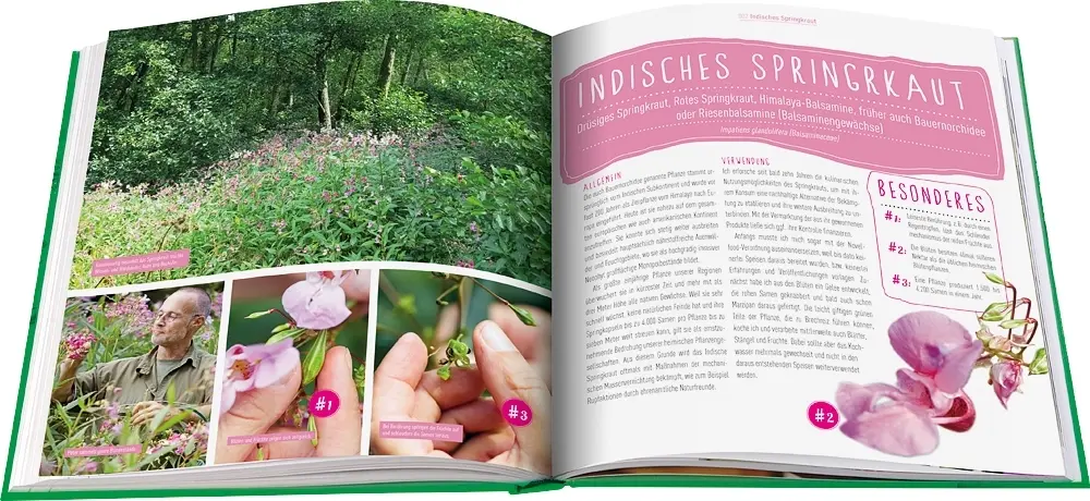 Bild: 9783945429662 | Die Wildkräuter-Werkstatt | Peter Becker | Taschenbuch | 160 S. | 2017