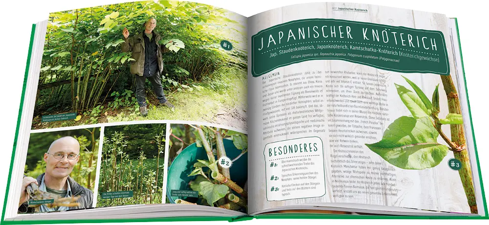 Bild: 9783945429662 | Die Wildkräuter-Werkstatt | Peter Becker | Taschenbuch | 160 S. | 2017
