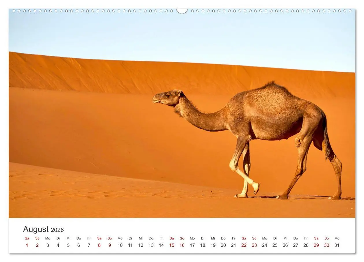 Bild: 9783457419762 | Sahara - Die größte Trockenwüste der Welt. (hochwertiger Premium...