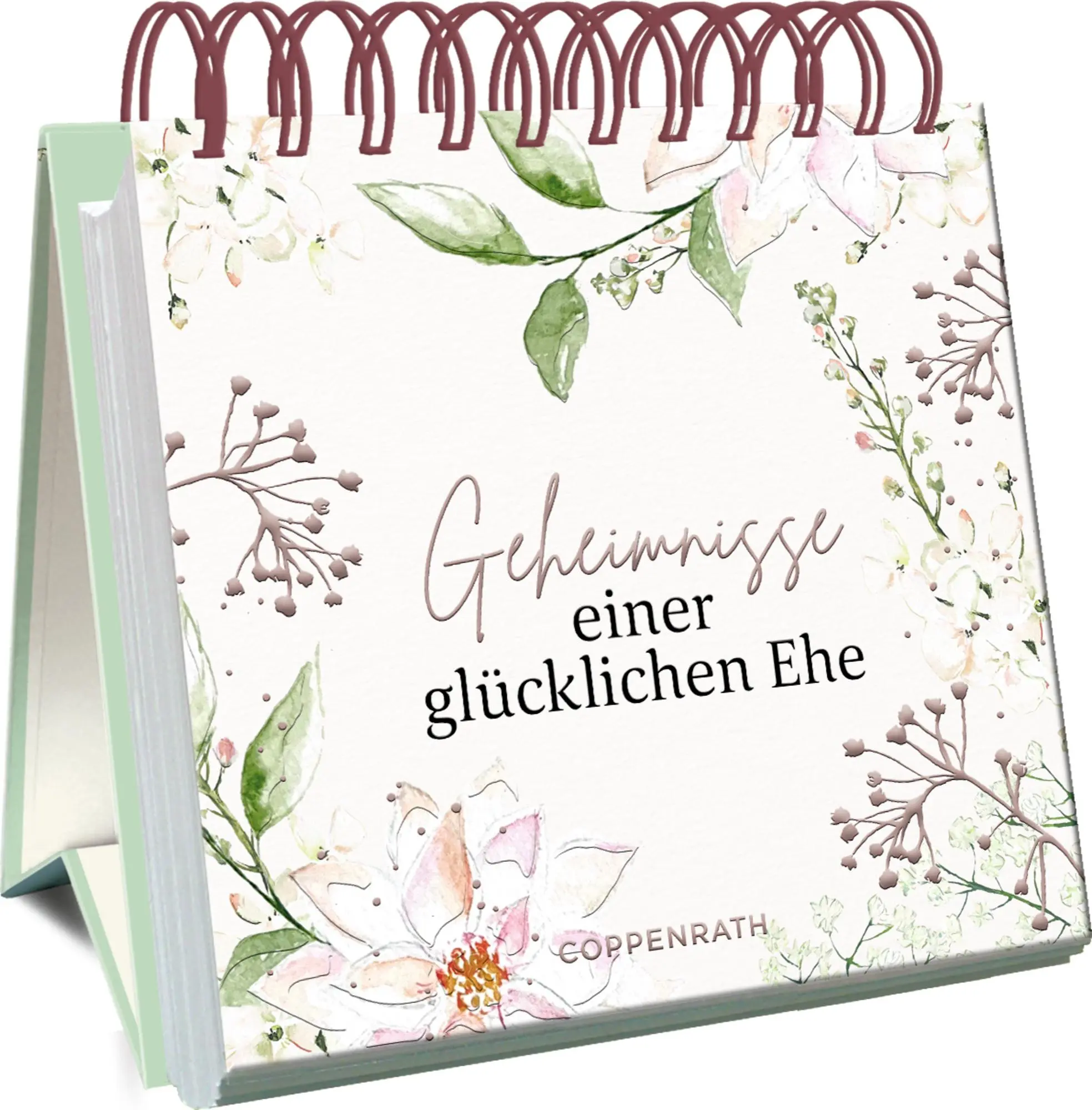 Cover: 9783649649762 | Geheimnisse einer glücklichen Ehe | Julia Borchers | Taschenbuch