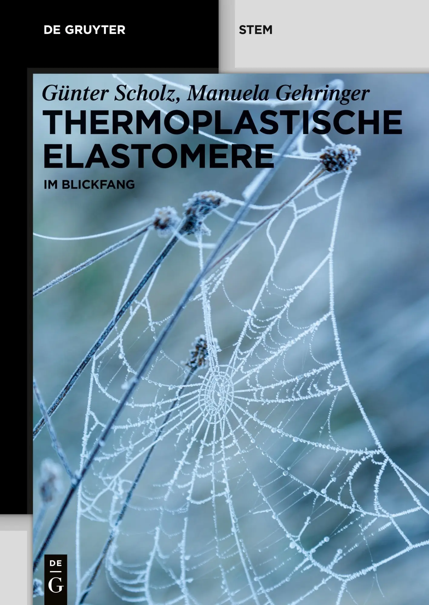 Cover: 9783110739862 | Thermoplastische Elastomere | im Blickfang | Manuela Gehringer (u. a.)