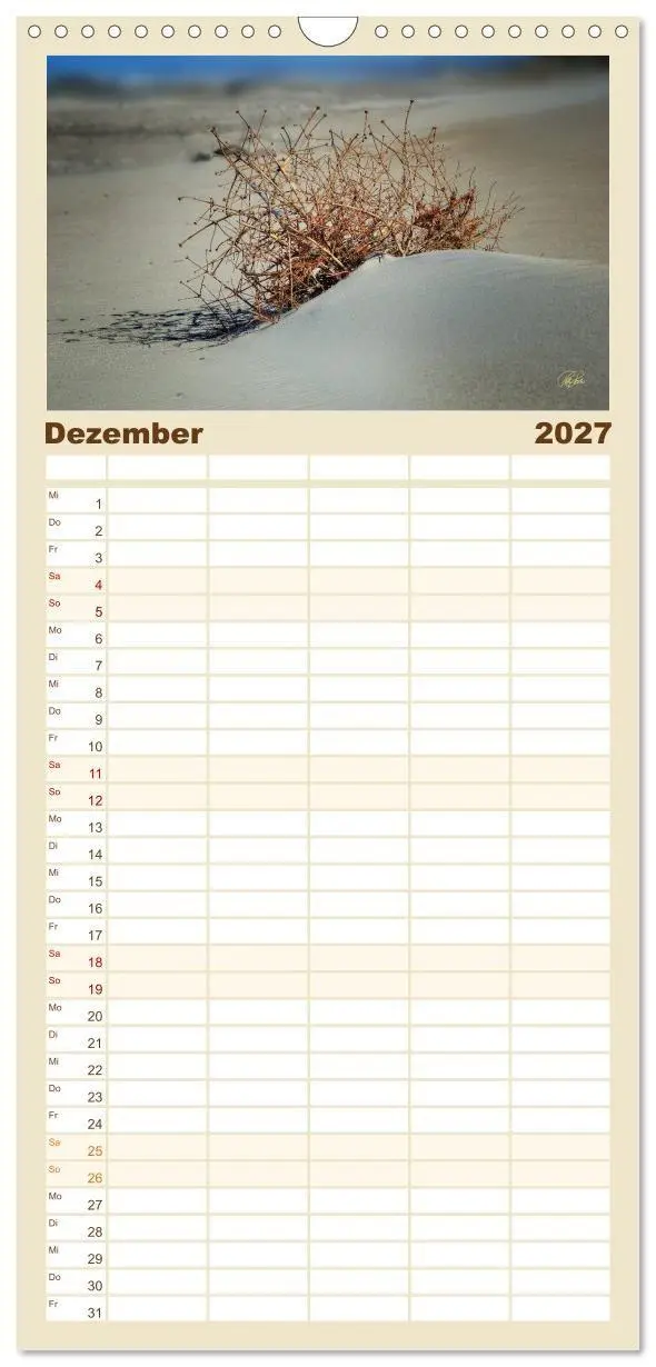 Bild: 9783594339862 | Familienplaner 2027 - Nordsee-Dünen mit 5 Spalten (Wandkalender, 21...