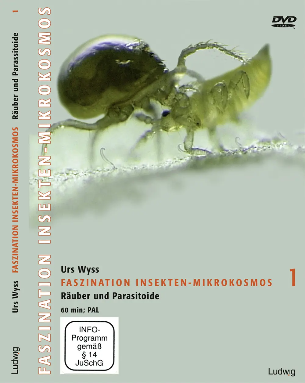 Faszination Insekten-Mikrokosmos 1 - Räuber und Parasitoide