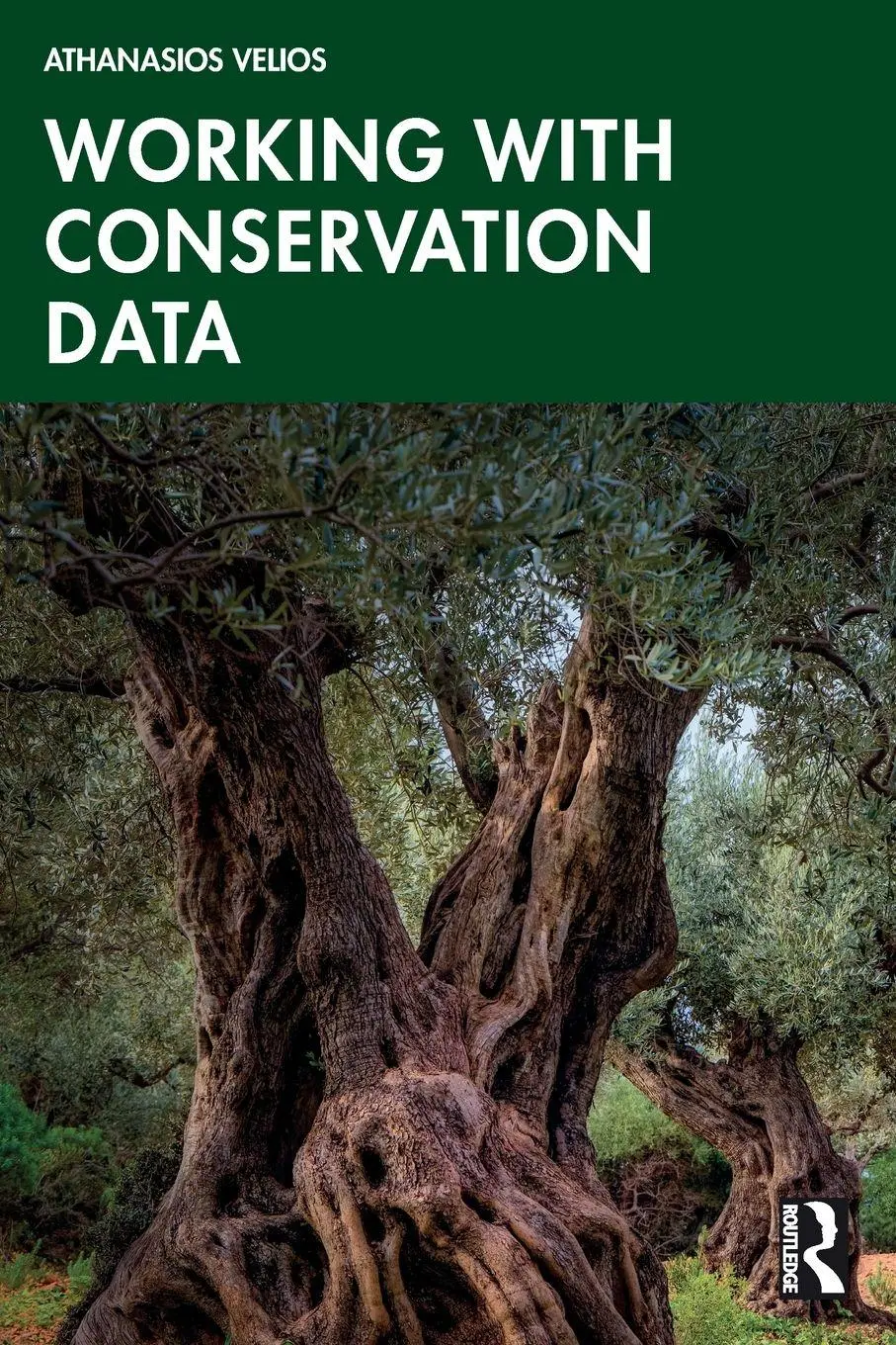 Cover: 9780367410063 | Working with Conservation Data | Athanasios Velios | Taschenbuch