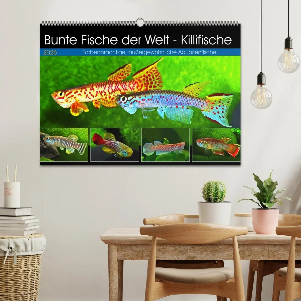 Bild: 9783457990063 | Bunte Fische der Welt - Killifische (Wandkalender 2026 DIN A2...