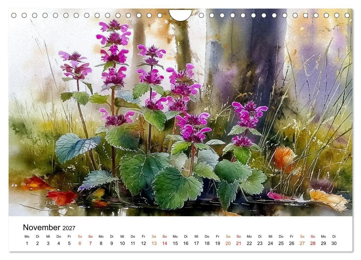 Bild: 9783516770063 | Wildblumen zwischen Moos und Farn (Wandkalender 2027 DIN A4 quer),...