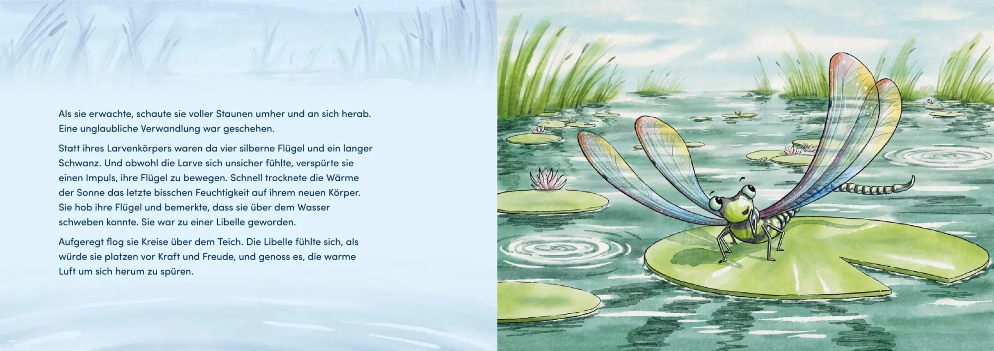 Bild: 9783693370063 | Von Larven und Libellen. Bilderbuch | Gesa Rensmann | Buch | 32 S.