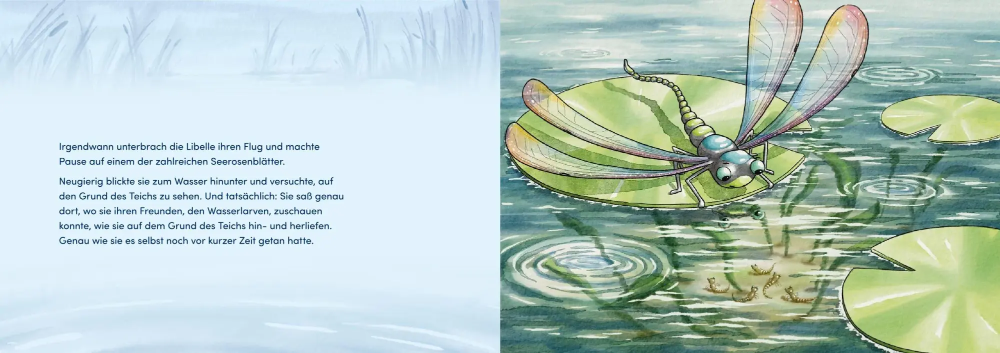 Bild: 9783693370063 | Von Larven und Libellen. Bilderbuch | Gesa Rensmann | Buch | 32 S.