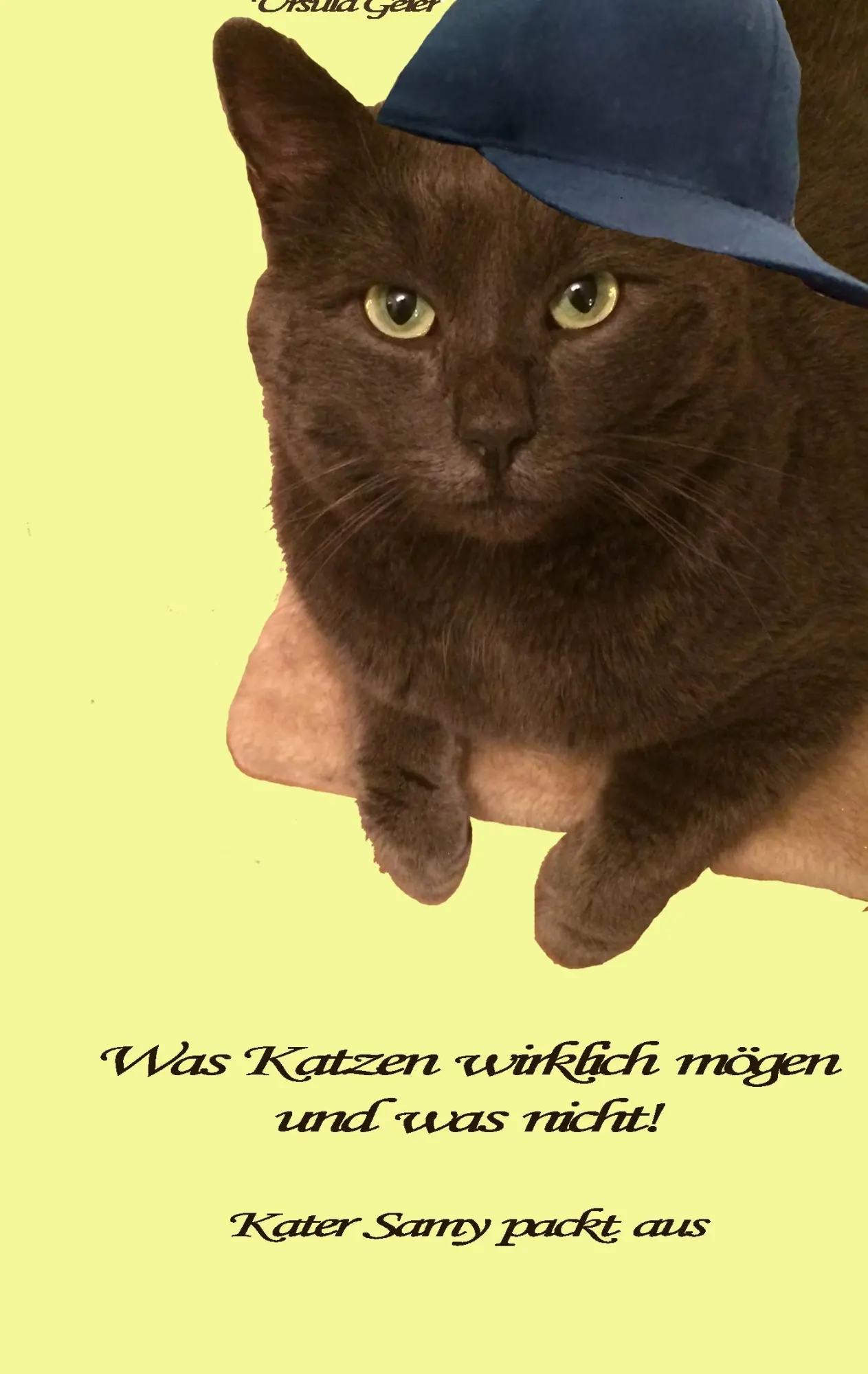 Cover: 9783738600063 | Was Katzen wirklich mögen und was nicht | Kater Samy packt aus | Geier