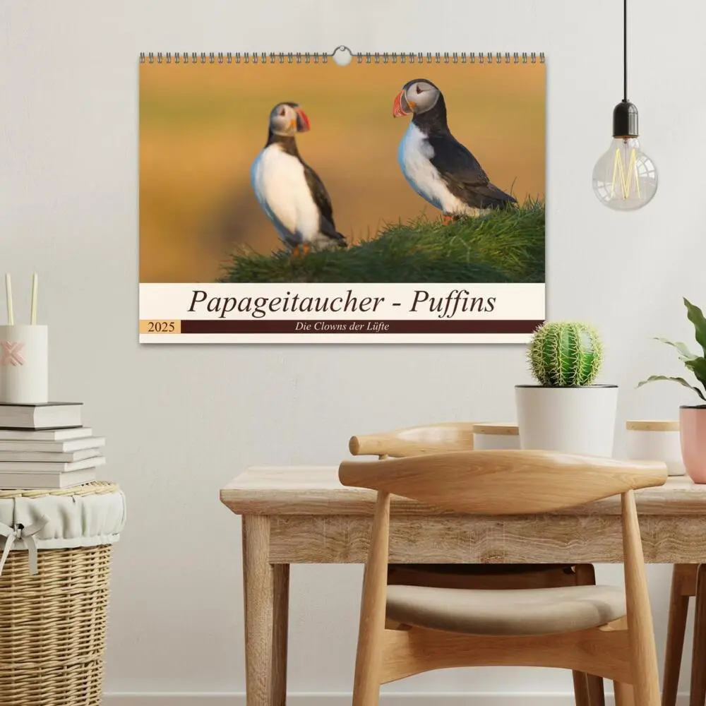 Bild: 9783435270163 | Papageitaucher - Puffins (Wandkalender 2025 DIN A3 quer), CALVENDO...
