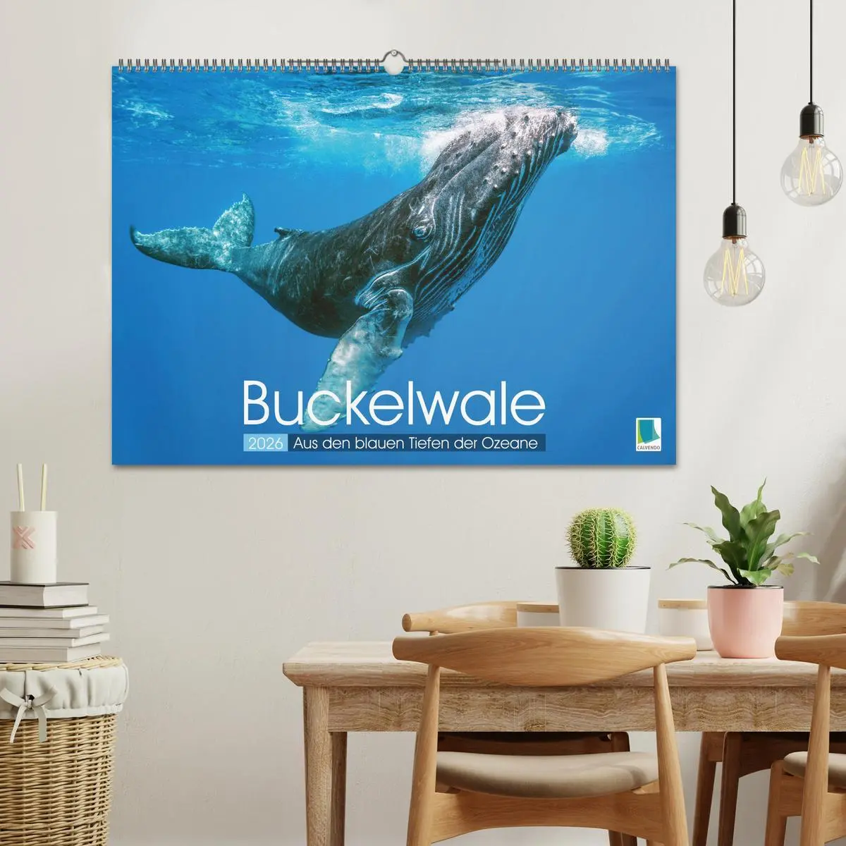 Bild: 9783457290163 | Buckelwale: Aus den blauen Tiefen der Ozeane (Wandkalender 2026 DIN...