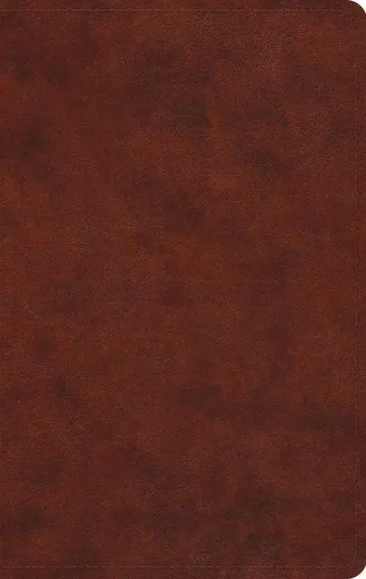 Cover: 9781433550263 | ESV Large Print Value Thinline Bible | Esv Bibles | Buch | Englisch