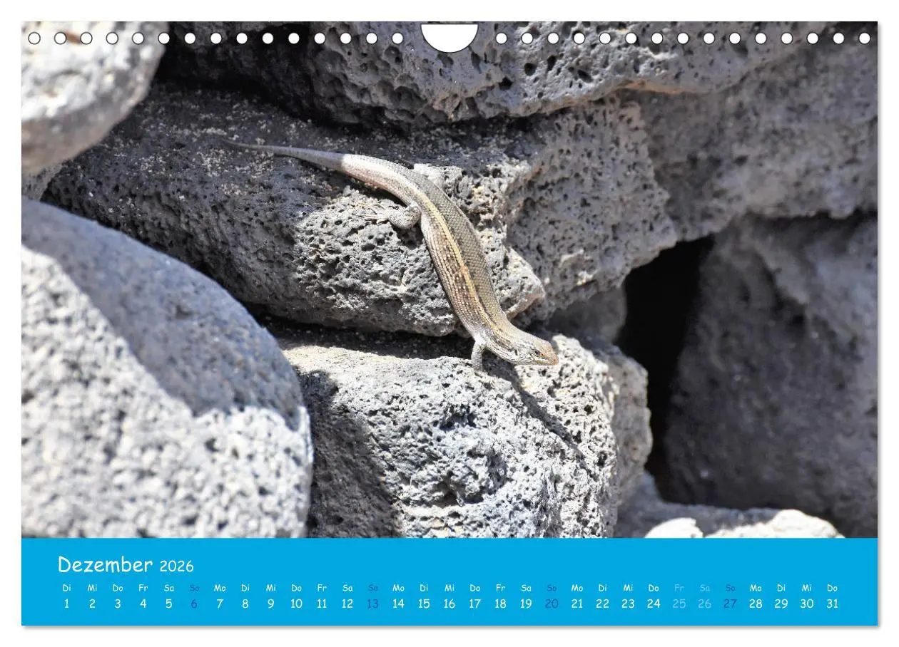 Bild: 9783457800263 | Cabo verde Inselgeflüster - Ilha do Sal (Wandkalender 2026 DIN A4...
