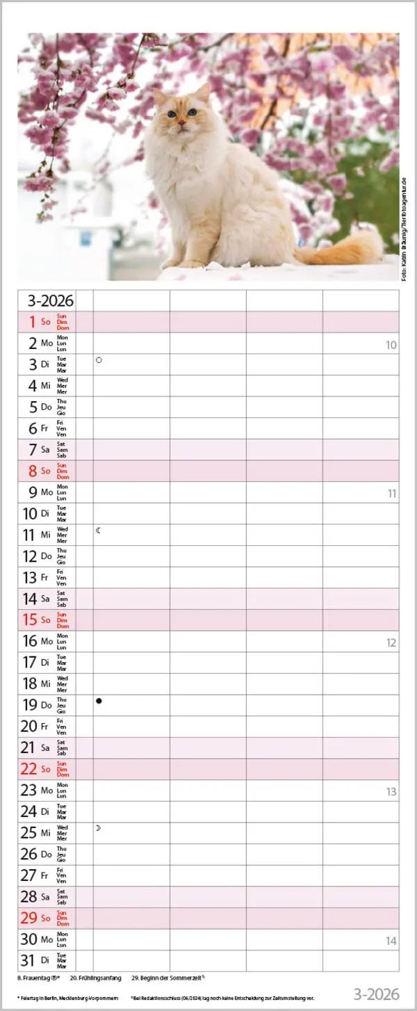 Bild: 9783731890263 | Auf Samtpfoten durch's Jahr 2026 | Verlag Korsch | Kalender | 14 S.