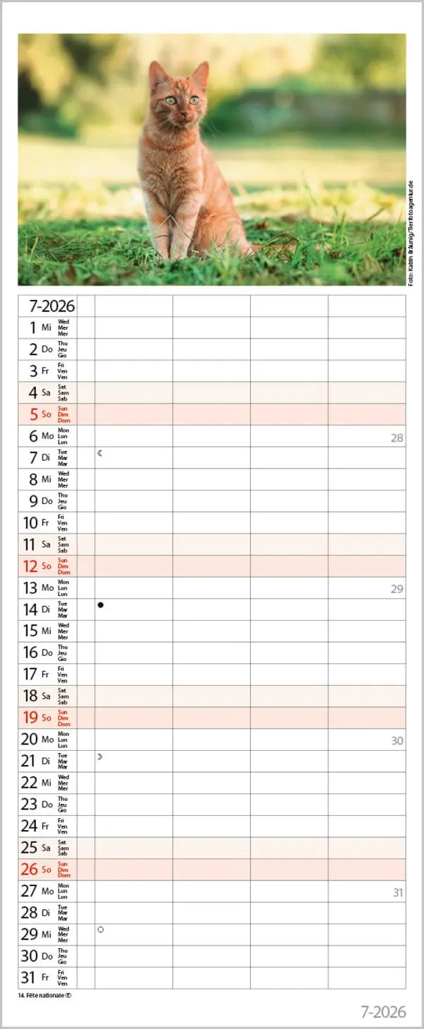 Bild: 9783731890263 | Auf Samtpfoten durch's Jahr 2026 | Verlag Korsch | Kalender | 14 S.