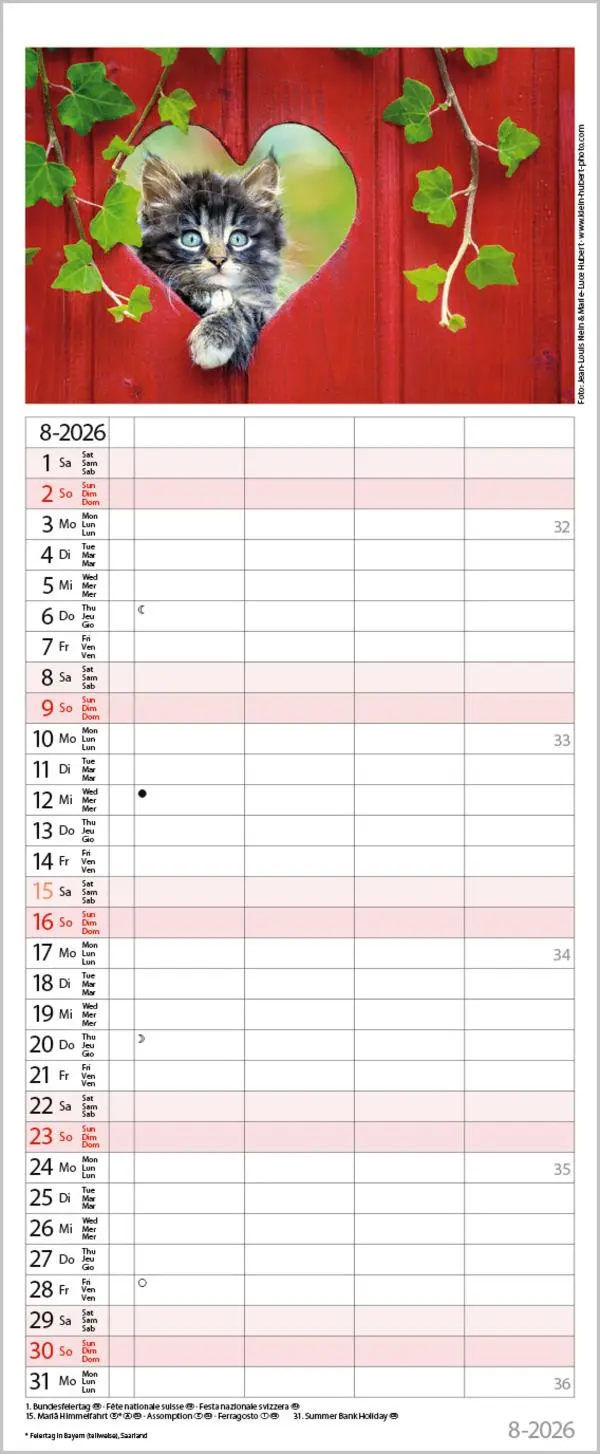 Bild: 9783731890263 | Auf Samtpfoten durch's Jahr 2026 | Verlag Korsch | Kalender | 14 S.