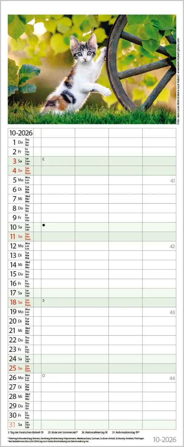 Bild: 9783731890263 | Auf Samtpfoten durch's Jahr 2026 | Verlag Korsch | Kalender | 14 S.