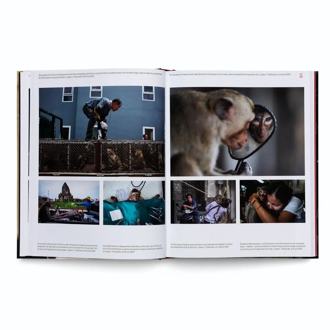 Bild: 9783775760263 | World Press Photo Yearbook 2025 - Édition française | Foundation