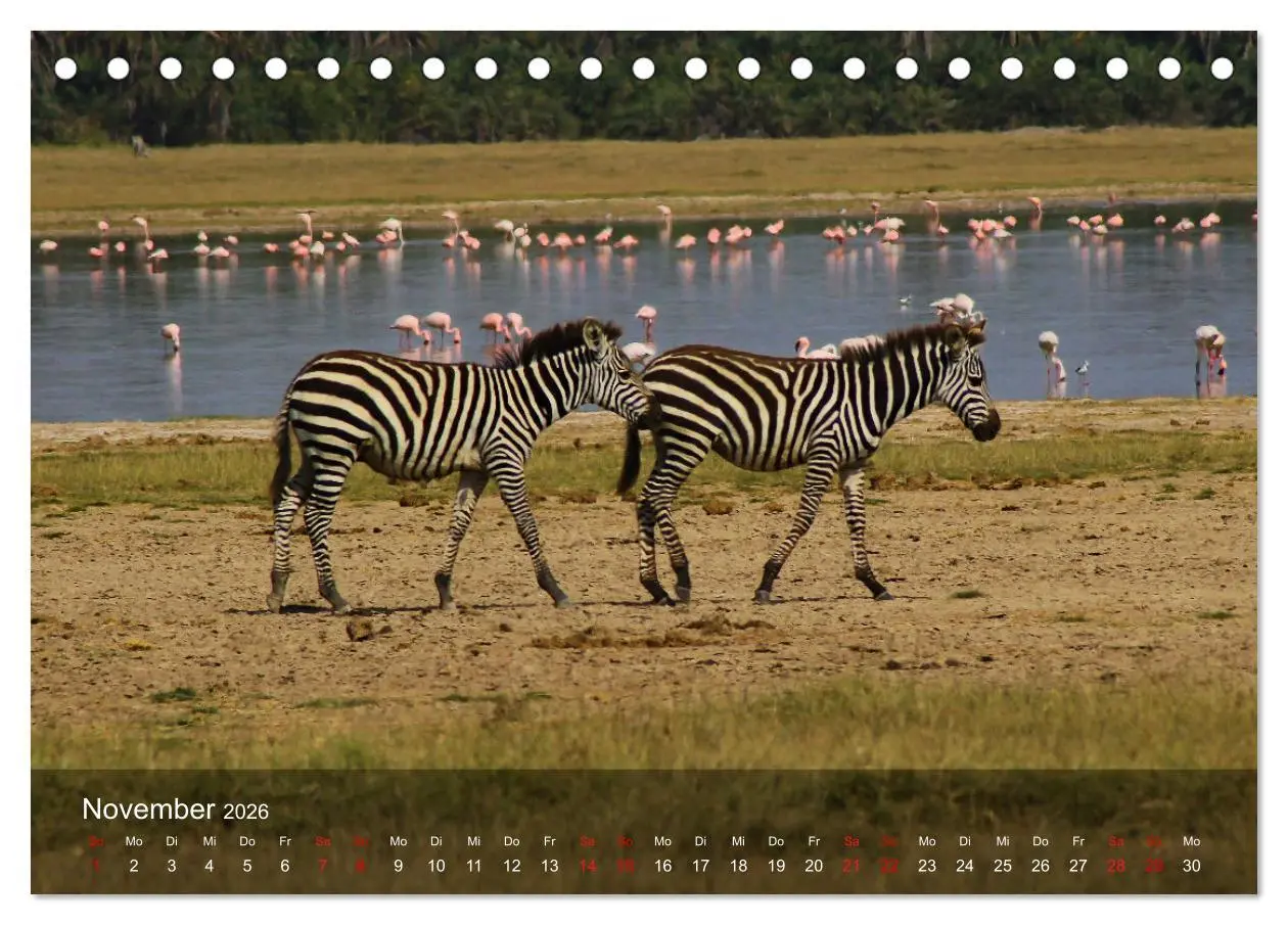 Bild: 9783457650363 | Ostafrika - Tansania und Kenia hautnah (Tischkalender 2026 DIN A5...