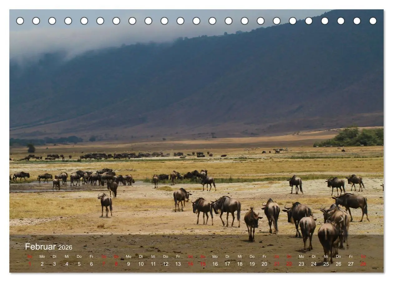 Bild: 9783457650363 | Ostafrika - Tansania und Kenia hautnah (Tischkalender 2026 DIN A5...