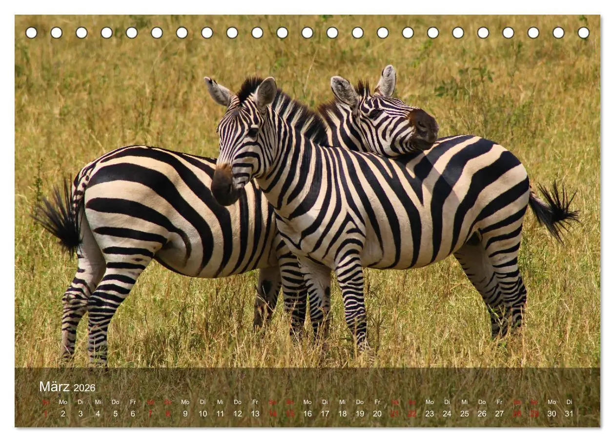 Bild: 9783457650363 | Ostafrika - Tansania und Kenia hautnah (Tischkalender 2026 DIN A5...