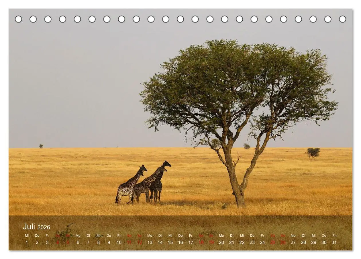 Bild: 9783457650363 | Ostafrika - Tansania und Kenia hautnah (Tischkalender 2026 DIN A5...