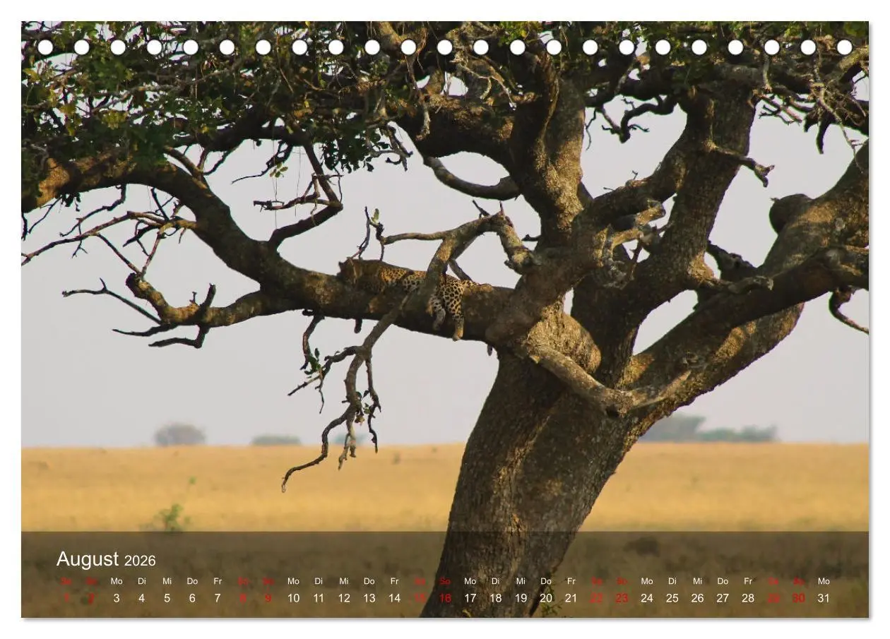Bild: 9783457650363 | Ostafrika - Tansania und Kenia hautnah (Tischkalender 2026 DIN A5...