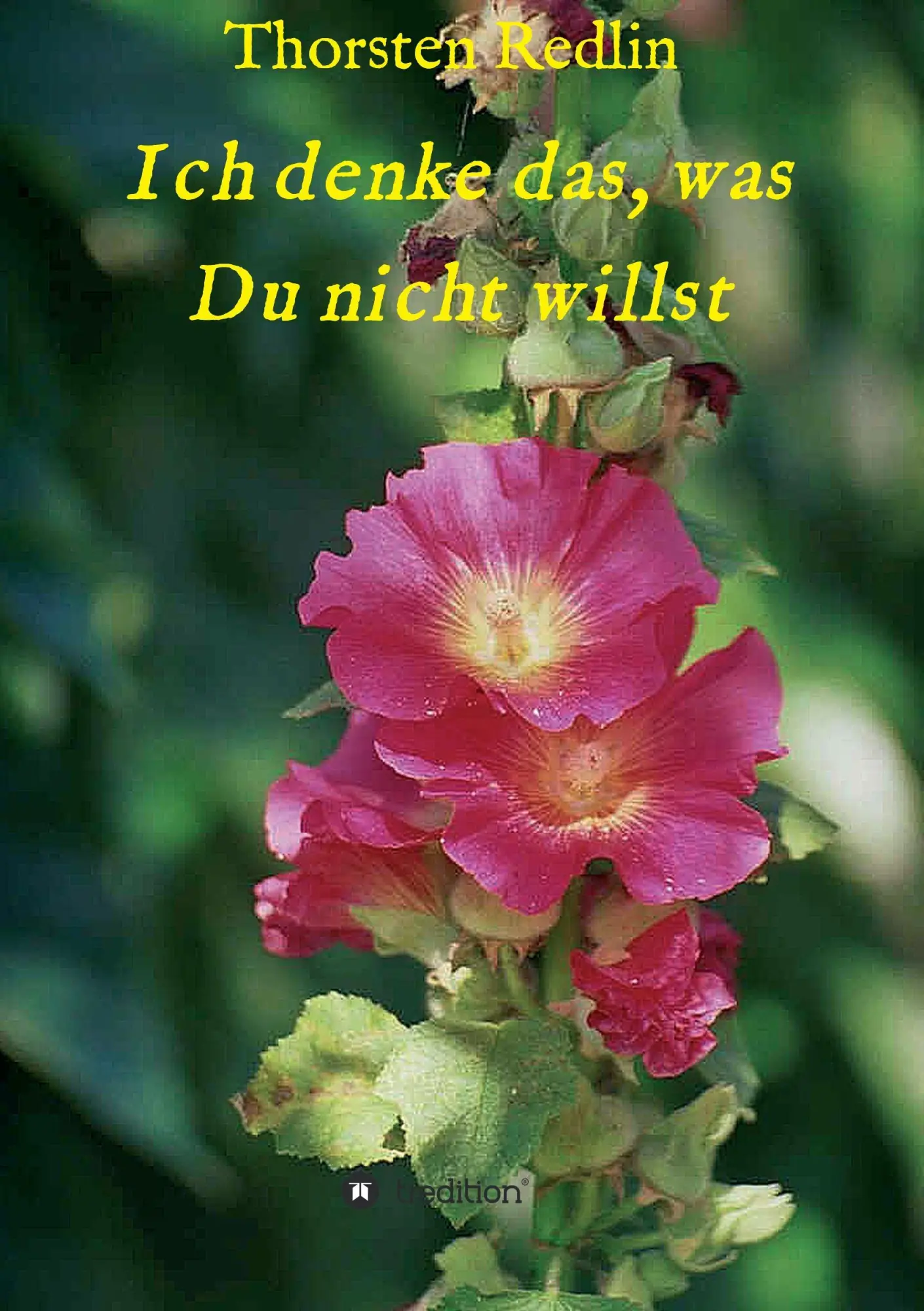 Cover: 9783743900363 | Ich denke das, was Du nicht willst | Thorsten Redlin | Taschenbuch