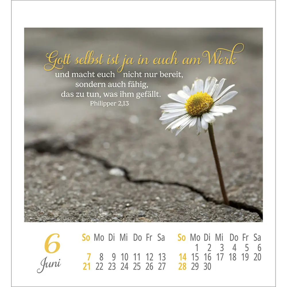 Bild: 9783754890363 | Lieblingsworte umgeben dich 2026 | Aufkleber-Kalender | Kalender