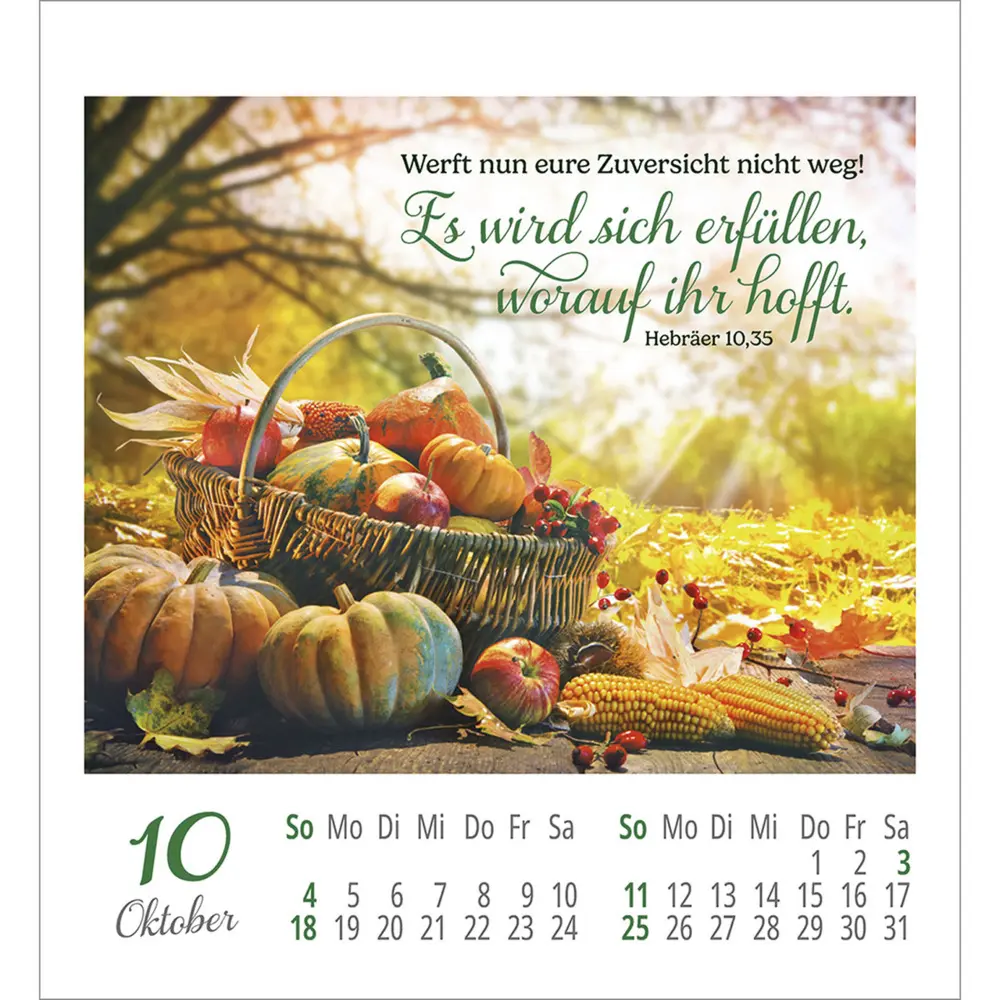 Bild: 9783754890363 | Lieblingsworte umgeben dich 2026 | Aufkleber-Kalender | Kalender