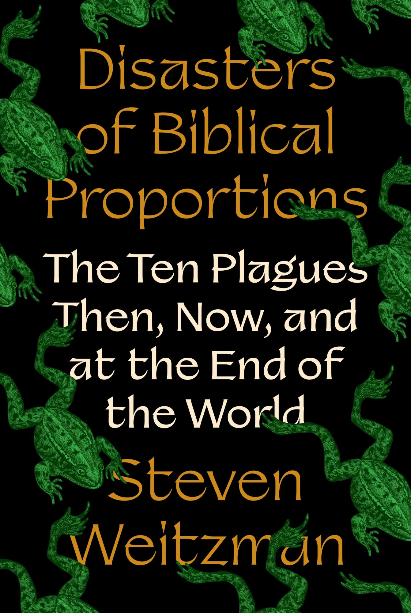 Cover: 9780691270463 | Disasters of Biblical Proportions | Steven Weitzman | Buch | Englisch