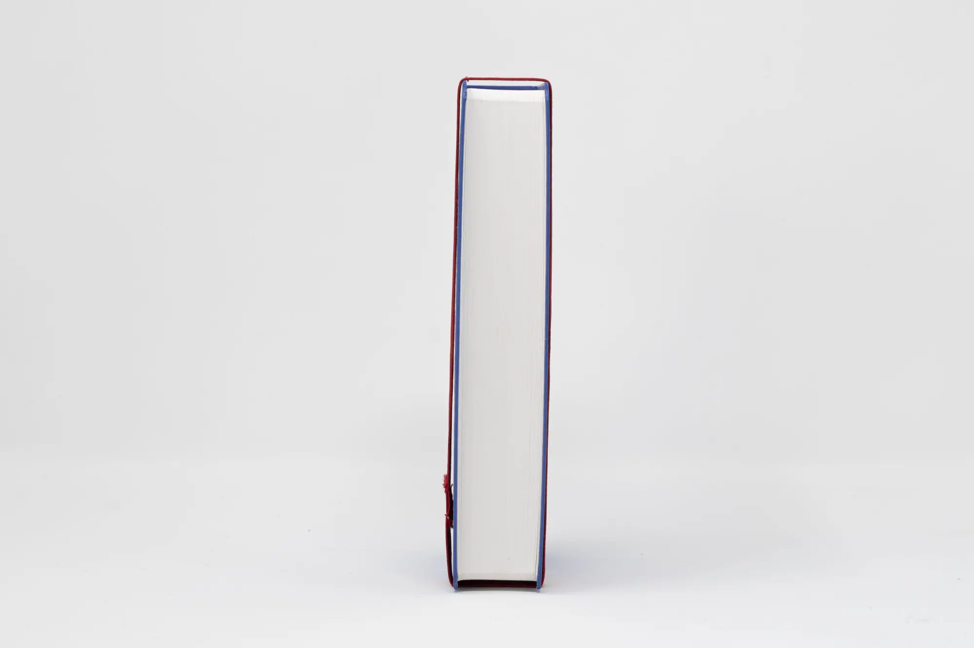 Bild: 9783460440463 | Die Bibel. Taschenausgabe stripe mit roter loser Gummilitze | Buch
