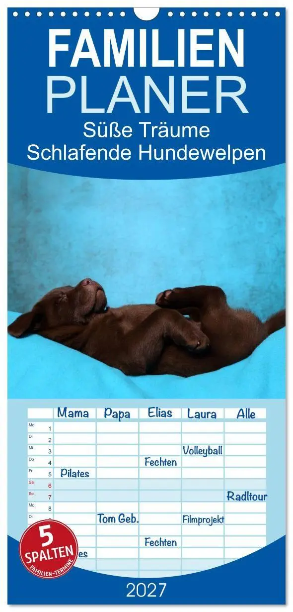 Cover: 9783594330463 | Familienplaner 2027 - Süße Träume 2027 - schlafende Hundewelpen mit...
