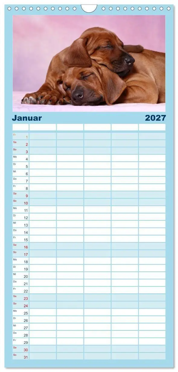 Bild: 9783594330463 | Familienplaner 2027 - Süße Träume 2027 - schlafende Hundewelpen mit...