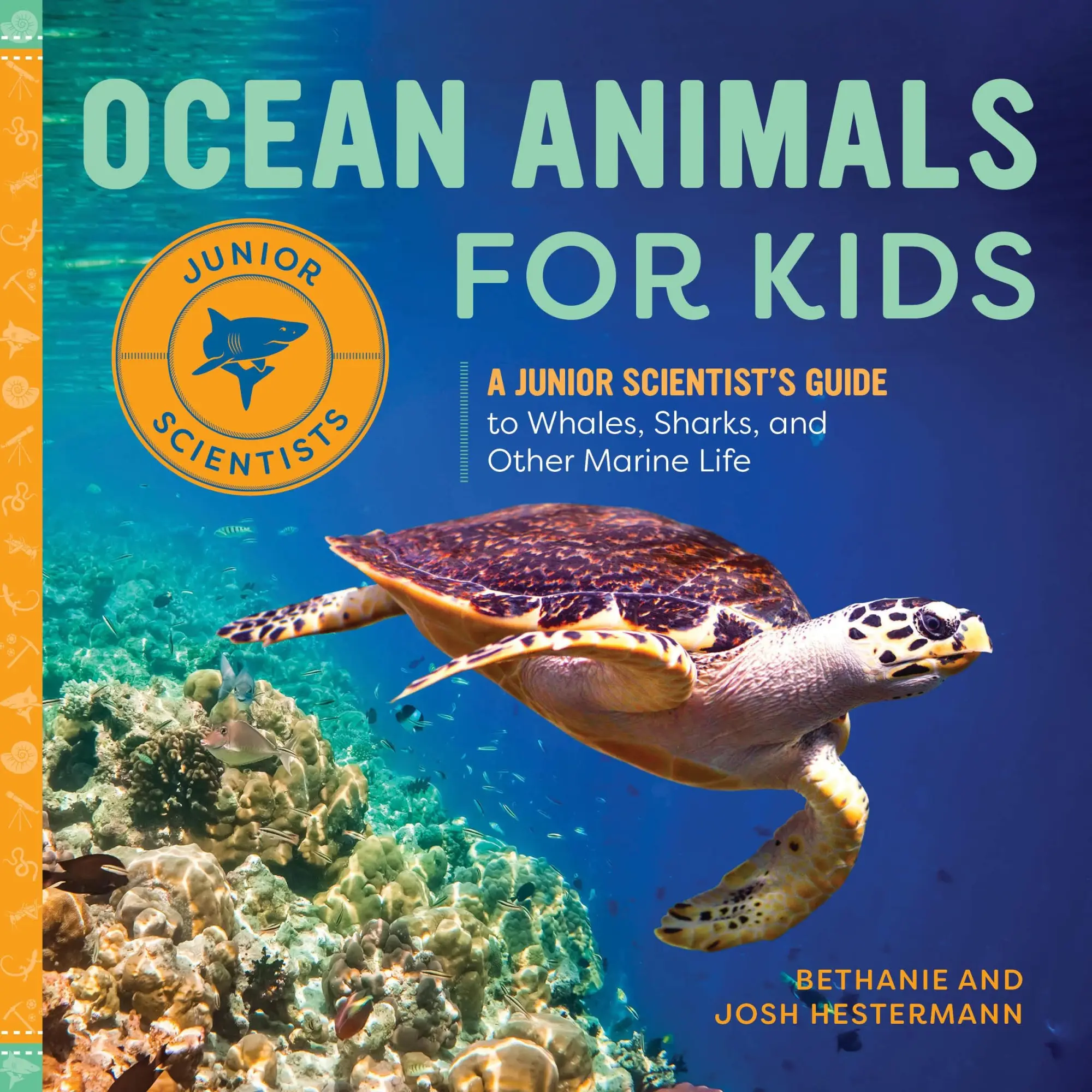 Cover: 9781648760563 | Ocean Animals for Kids | Bethanie Hestermann (u. a.) | Taschenbuch