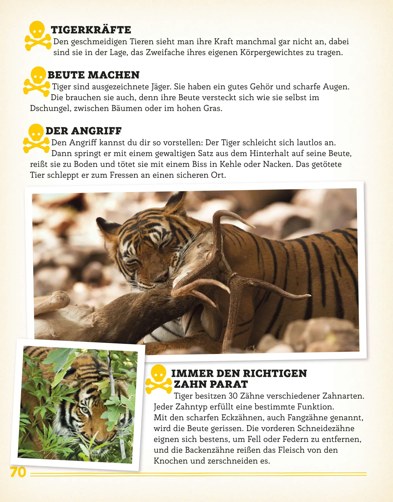 Bild: 9783790100563 | Bissig, giftig, tödlich! | Die gefährlichsten Tiere der Welt | Küntzel
