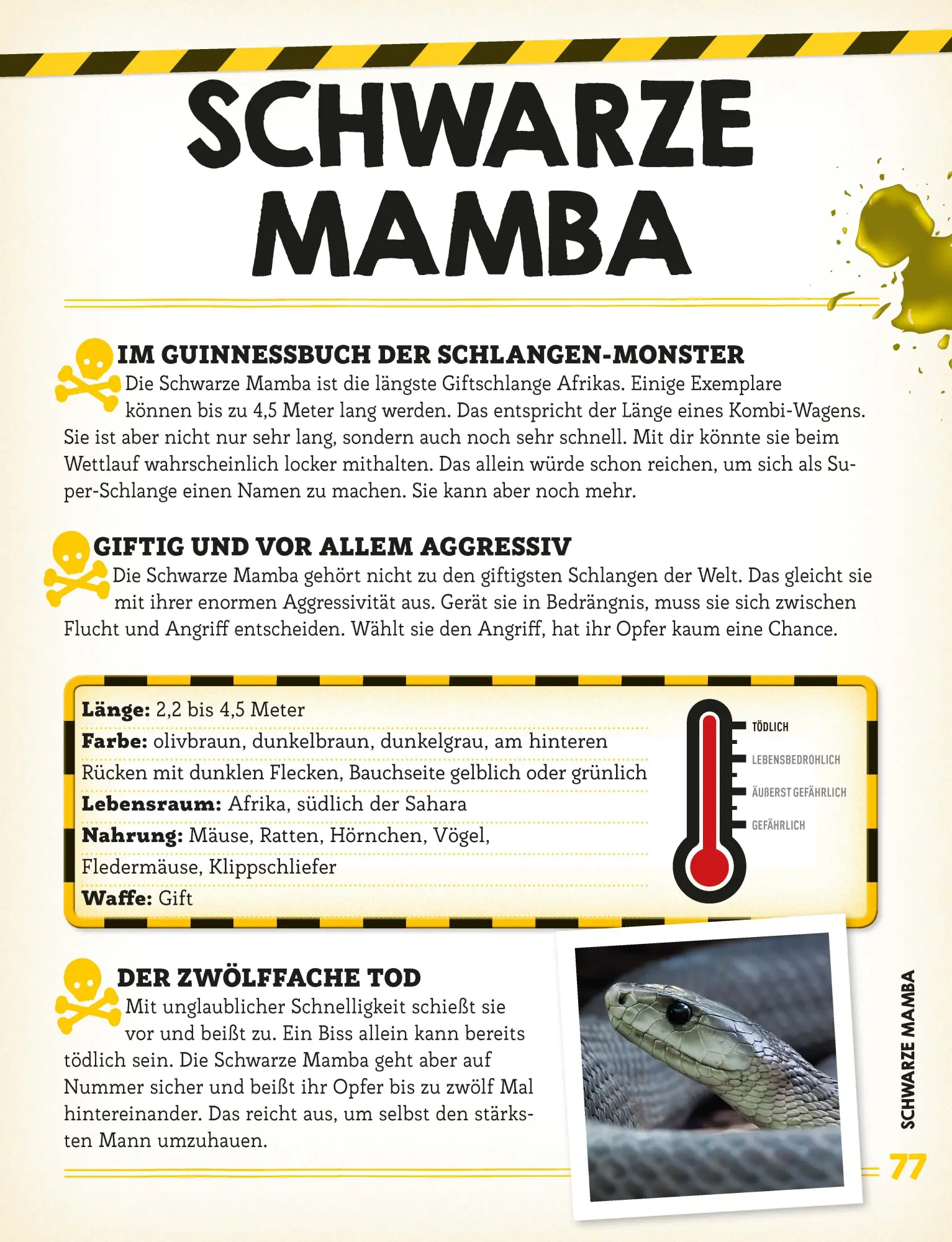 Bild: 9783790100563 | Bissig, giftig, tödlich! | Die gefährlichsten Tiere der Welt | Küntzel