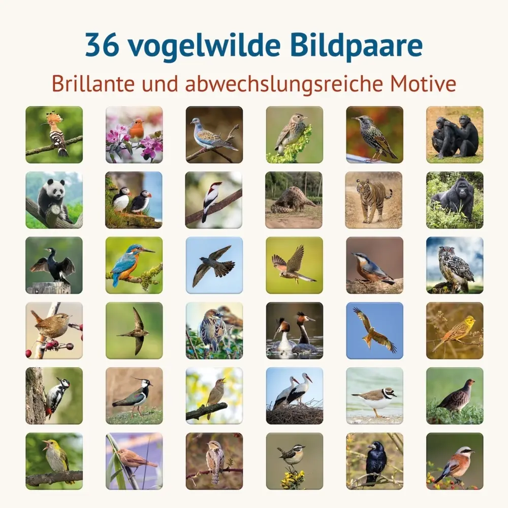Bild: 4260472860663 | Vogelwild - Memospiel | Die Vögel des Jahres von 1985-2023 | Spiel