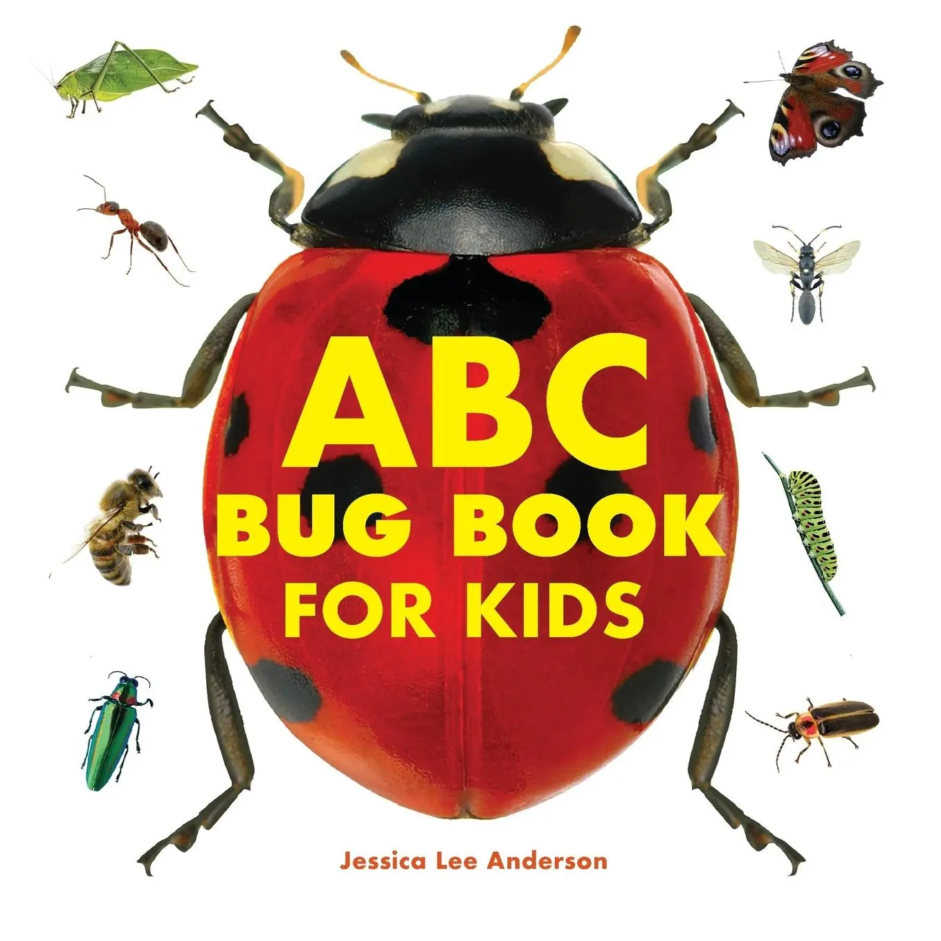 Cover: 9781638780663 | ABC Bug Book for Kids | Jessica Lee Anderson | Taschenbuch | Englisch