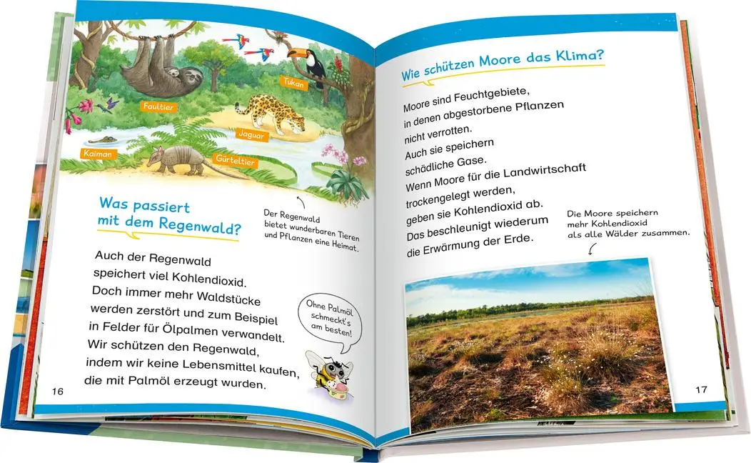 Bild: 9783473600663 | Wieso? Weshalb? Warum? Erstleser, Band 13 - Umweltschutz | Kessel