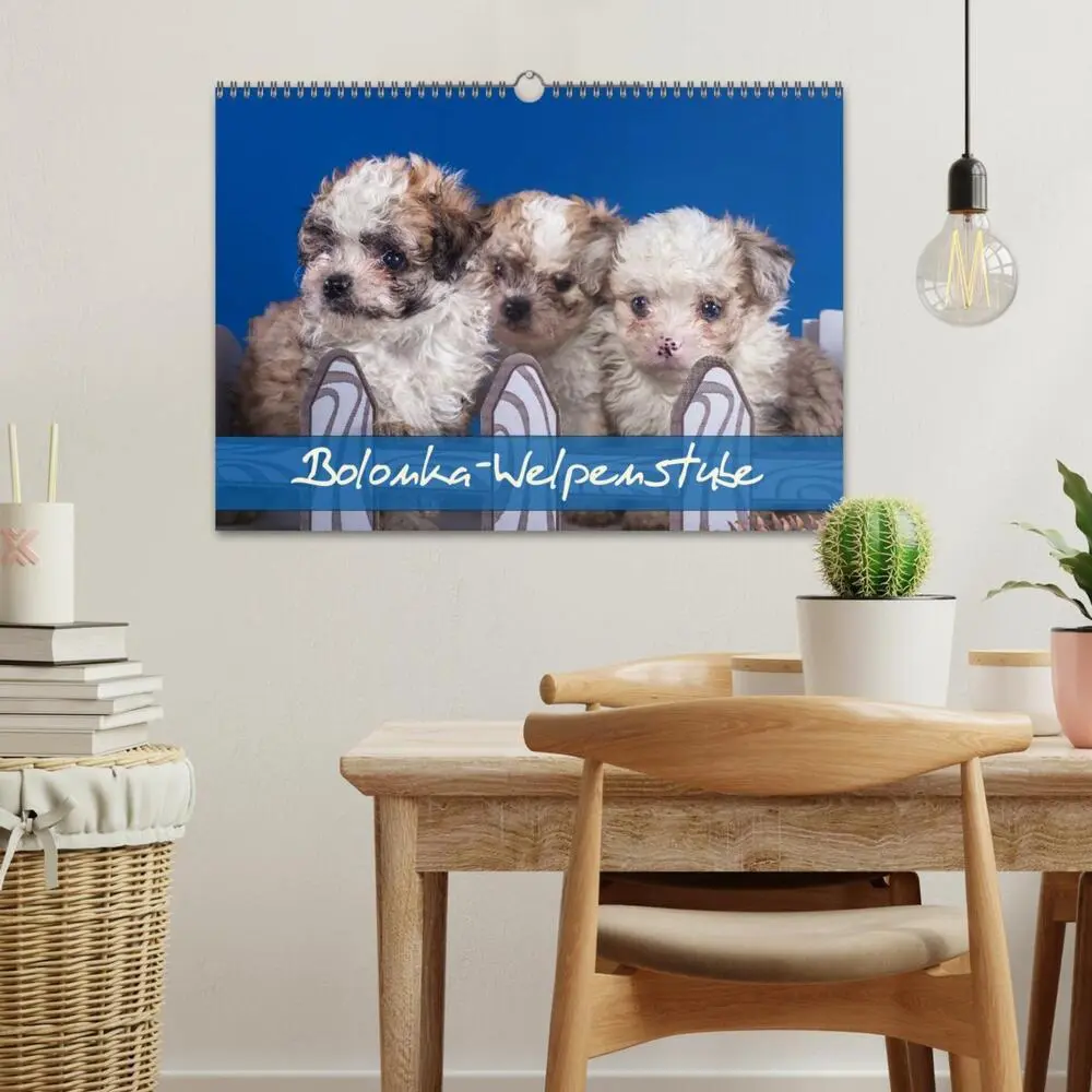 Bild: 9783435750863 | Bolonka Welpenstube (Wandkalender 2025 DIN A3 quer), CALVENDO...